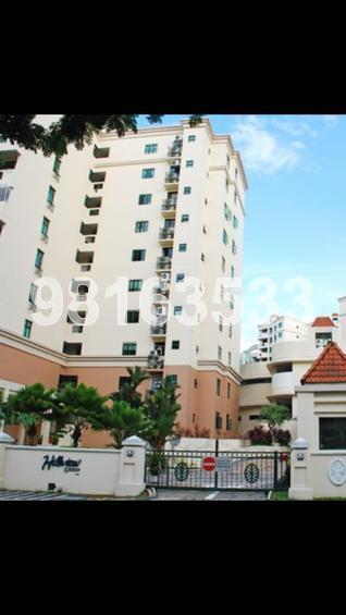 Hillview Green (D21), Condominium #149459602